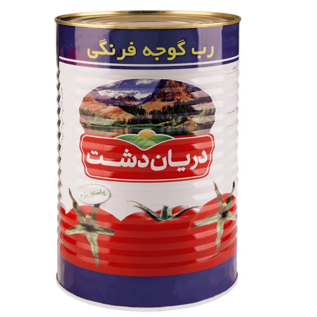رب گوجه فرنگی دریان دشت - 4500 گرم 101689235